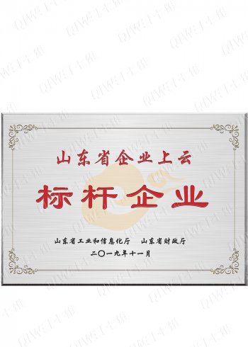 山東省上云標桿企業